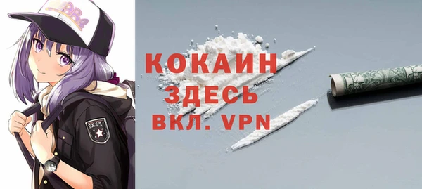 шишки Балабаново
