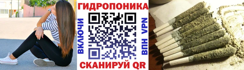 Бошки Шишки план Новый Уренгой